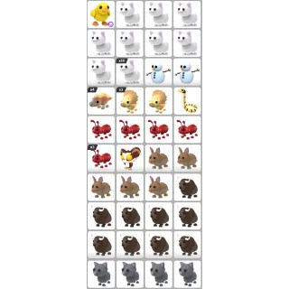 INSTANT DELIVERY - ADOPT ME PET BUNDLE #9