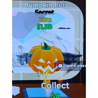 Pumpkim Rot