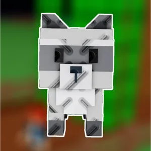 Raccoon