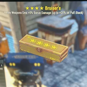 Bruisers Mod x5