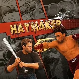 Haymaker VR - Meta Quest