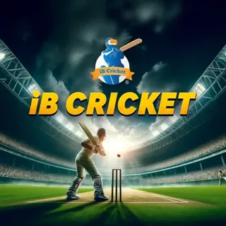 iB Cricket VR - Meta Quest