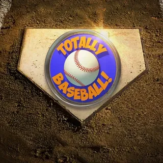 TOTALLY BASEBALL VR - Meta Quest