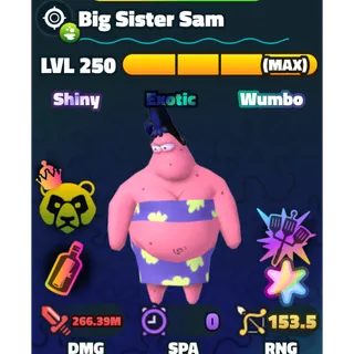 Super Star SW Big SiSter Sam HDS NC MAX