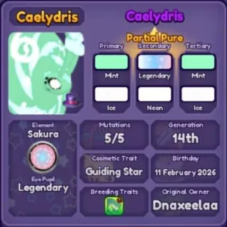 🐲 ➤【Caelydris】