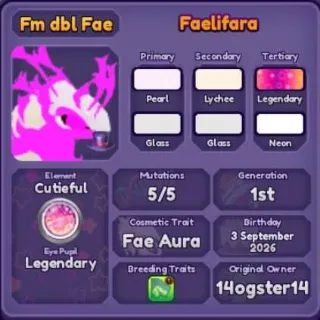 🐲 ➤【Faelifara】