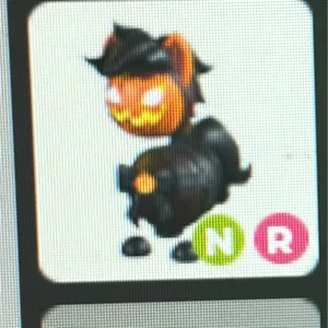 NR headless horse