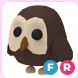 Owl FR