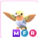 MFR Golden Hummingbird