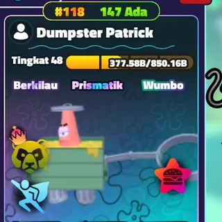 SW DUMPSTER PATRICK SERIAL #118 NC
