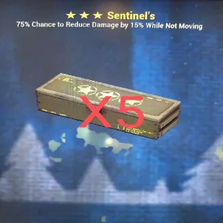 Sentinel's Mod Box (X5)