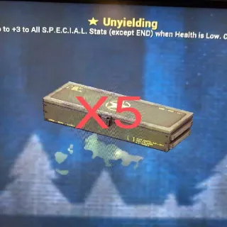 Unyielding Mod Box (X5)