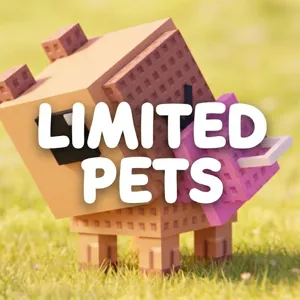 Build a zoo - Lysander