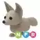 fennec fox nfr - adopt me roblox