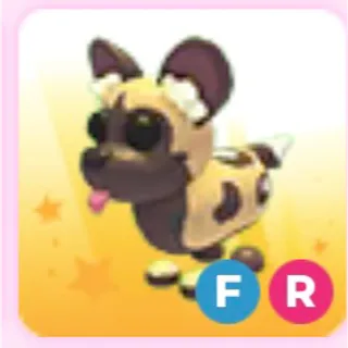 African wild dog
