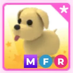 MFR Dog