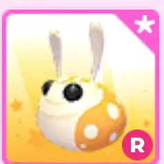 R Hopbop