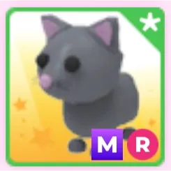 MR Cat
