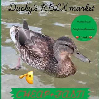 Ducky’z RBLX market