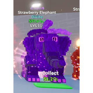 Go up for Brainrots