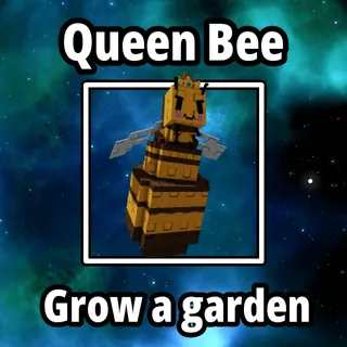 3x Queen Bee