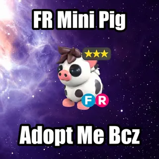 FR Mini Pig