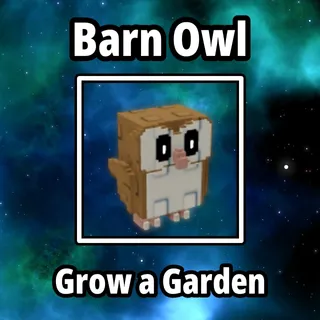 9x Barn Owl