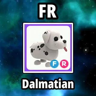 FR Dalmatian