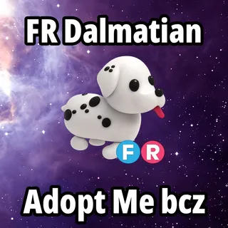 FR Dalmatian