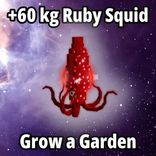 60 kg Ruby Squid