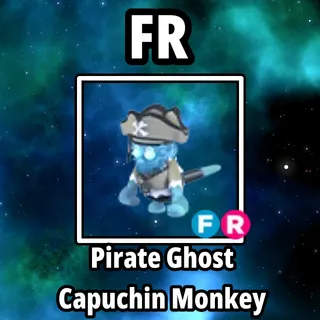 FR Pirate Ghost Capuchin Monkey