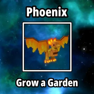 3x Phoenix