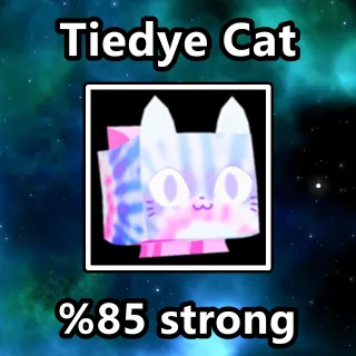 Tiedye Cat