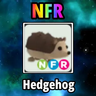 NFR Hedgehog