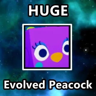 Huge Evolved Peacock