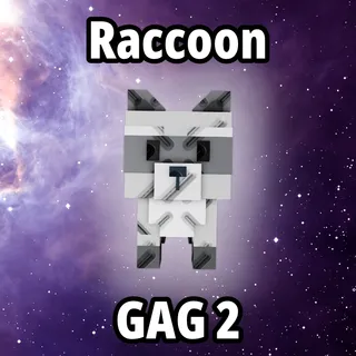 Raccoon GAG 2