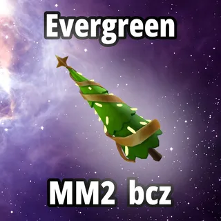 Evergreen