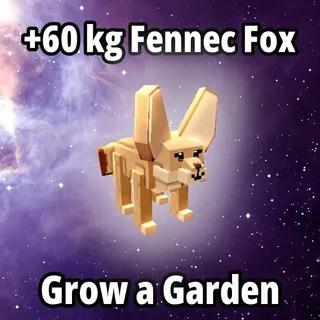 60 kg Fennec Fox