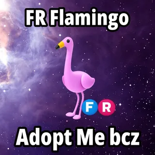 FR Flamingo