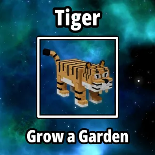 2x Tiger