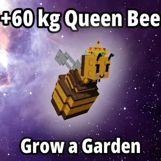 60 kg Queen Bee