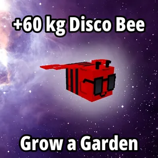 60 kg Disco Bee