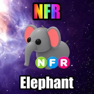 NFR Elephant
