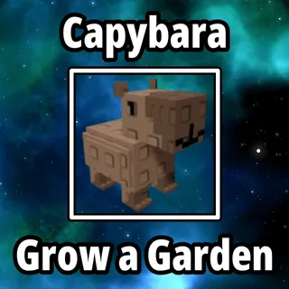 2x Capybara