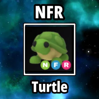 NFR Turtle