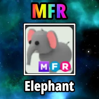 MFR Elephant