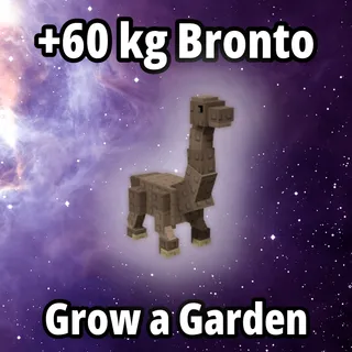 5x 60 kg Bronto