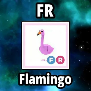 FR Flamingo