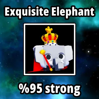 Exquisite Elephant