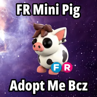 FR Mini Pig